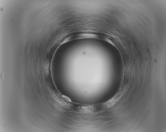 X0000089700188200706211327