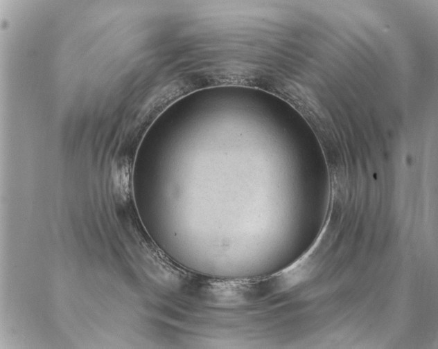 X0000089700190200706211327