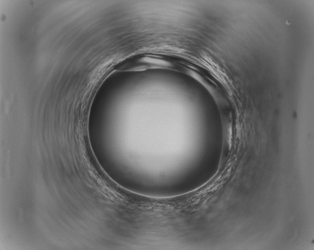 X0000089700193200706211327