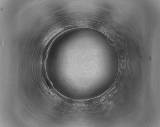 X0000089700194200706211327