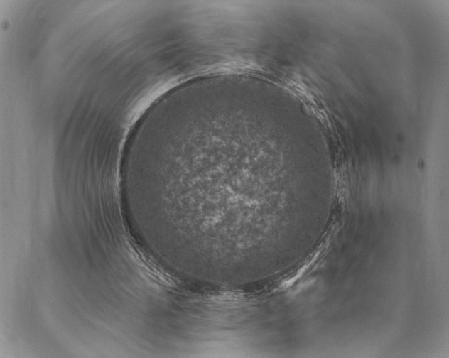 X0000089700196200706211327