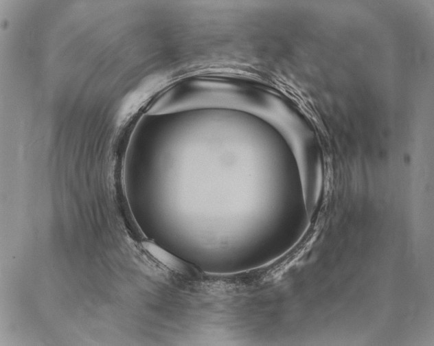 X0000089700197200706211326