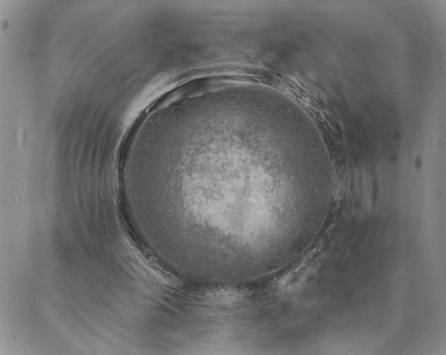 X0000089700198200706211326