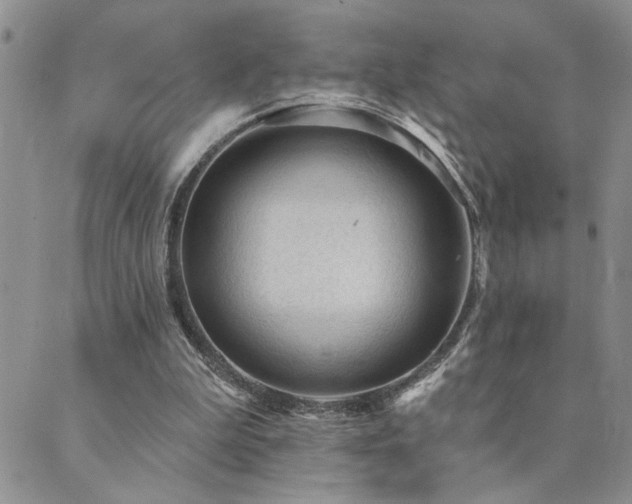 X0000089700199200706211326