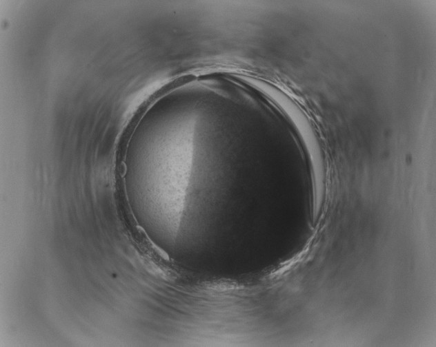 X0000089700200200706211326