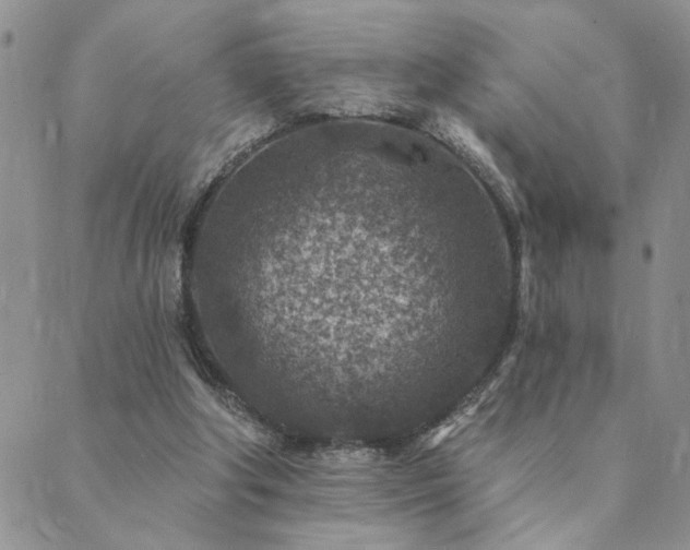 X0000089700202200706211326