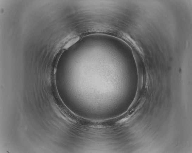 X0000089700203200706211326