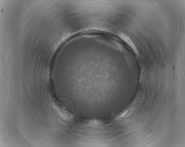 X0000089700204200706211326