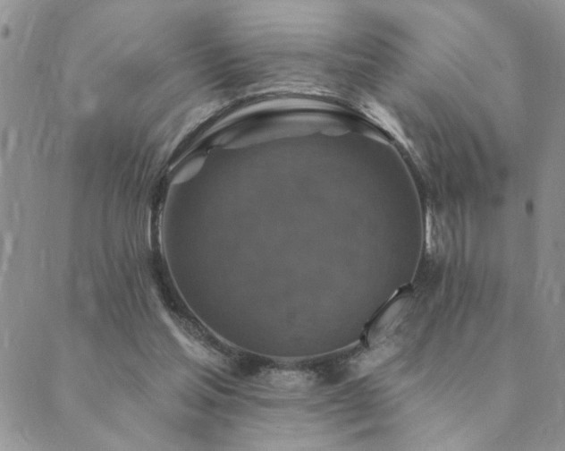 X0000089700205200706211326