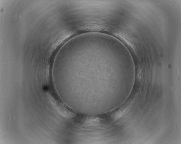 X0000089700206200706211326