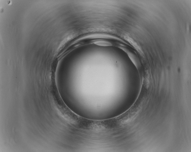 X0000089700207200706211326