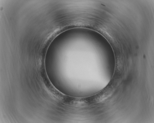 X0000089700208200706211326