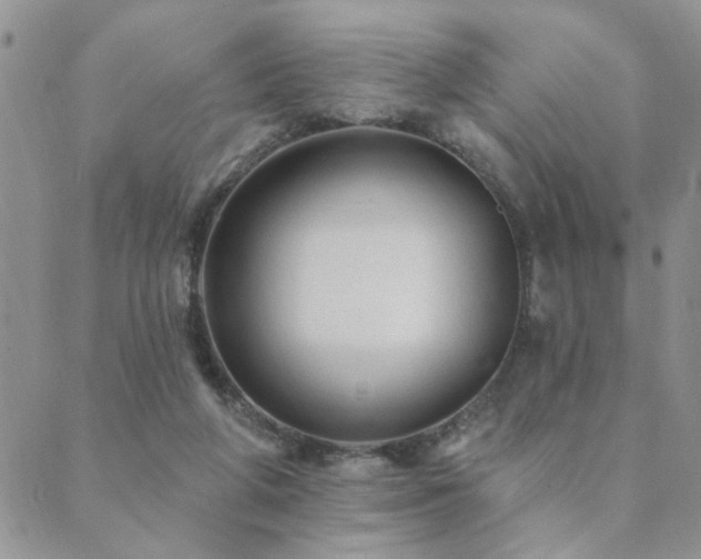 X0000089700210200706211326