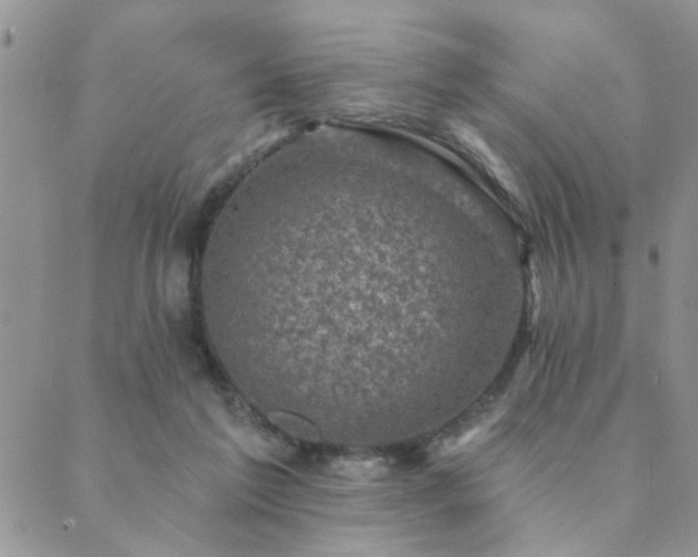 X0000089700213200706211326