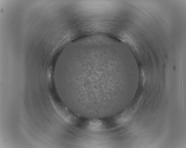 X0000089700214200706211326