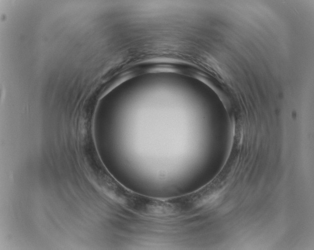 X0000089700215200706211326