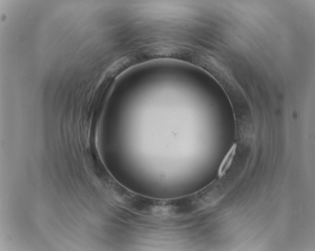 X0000089700216200706211326