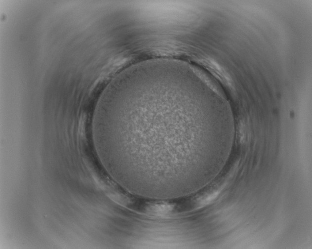 X0000089700217200706211326