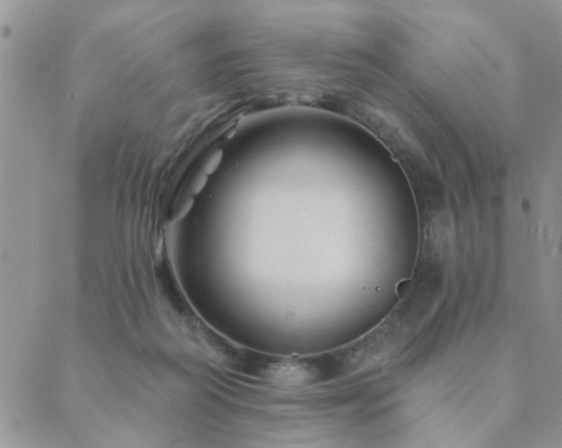 X0000089700218200706211326