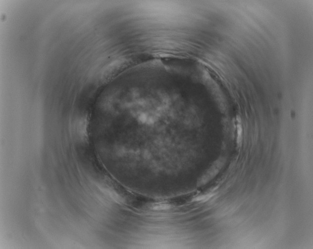 X0000089700219200706211326