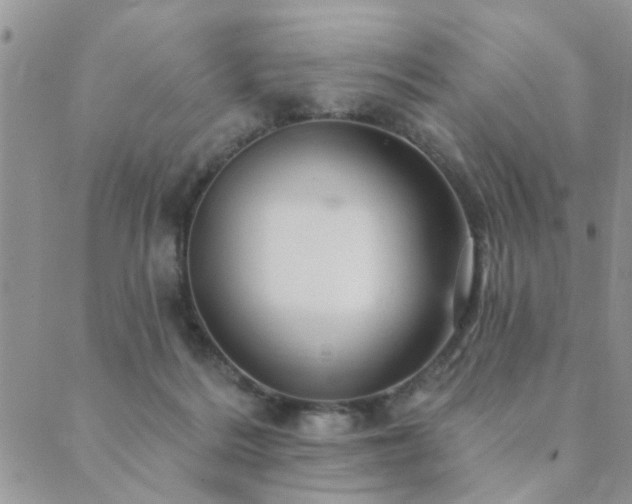 X0000089700220200706211326