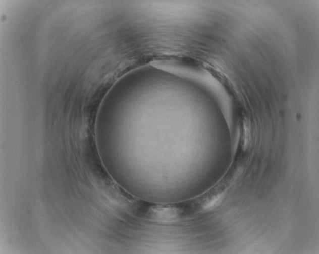 X0000089700221200706211326