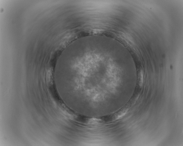 X0000089700222200706211326