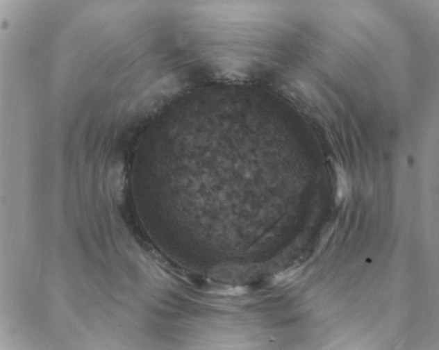 X0000089700223200706211326