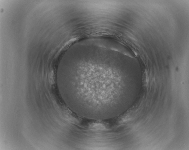 X0000089700224200706211326