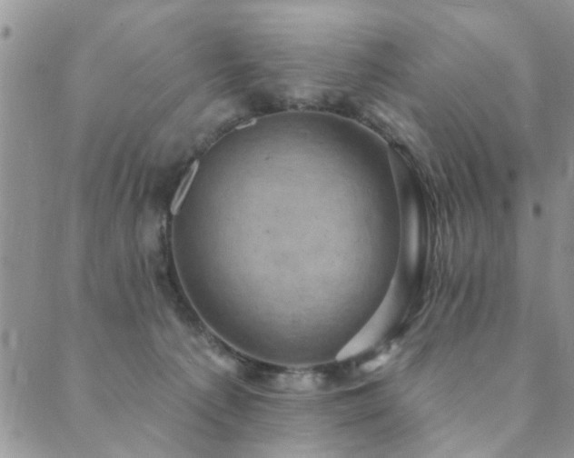 X0000089700225200706211326