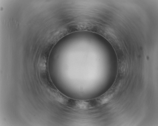 X0000089700226200706211326