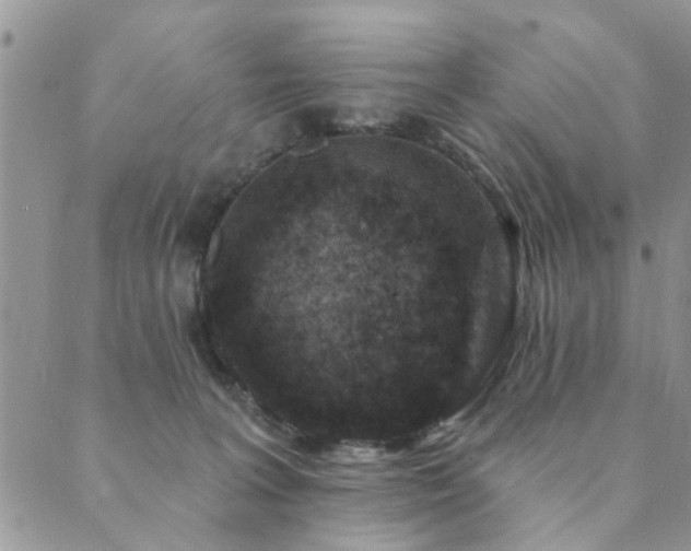 X0000089700227200706211326