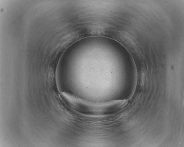 X0000089700228200706211326