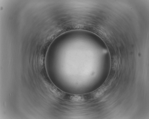 X0000089700230200706211326