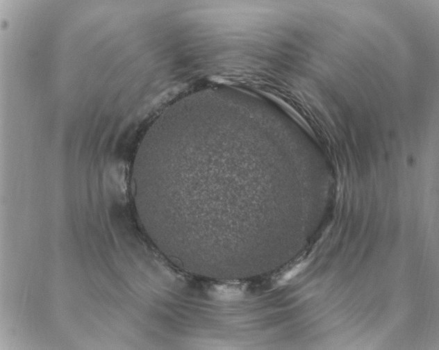 X0000089700232200706211326