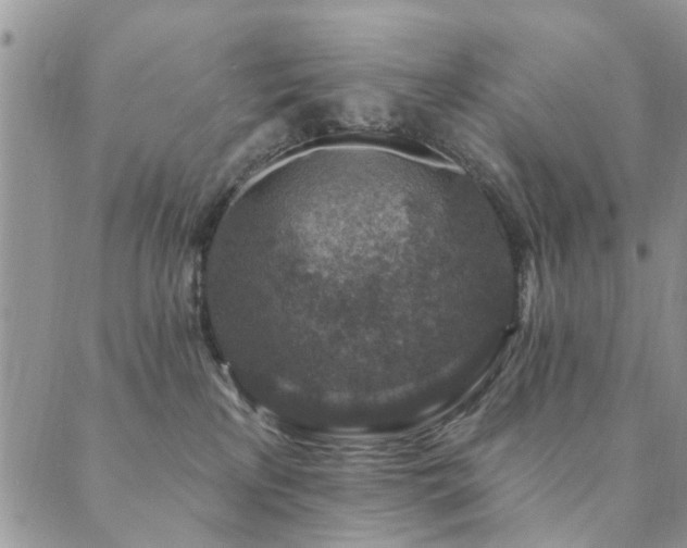 X0000089700233200706211326