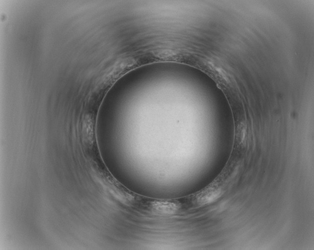 X0000089700234200706211326