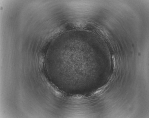 X0000089700235200706211326