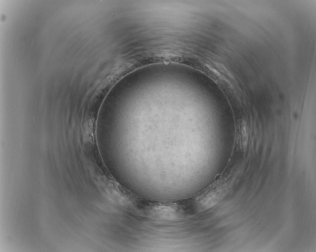 X0000089700236200706211326