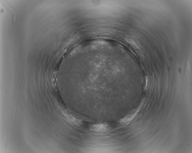 X0000089700237200706211326