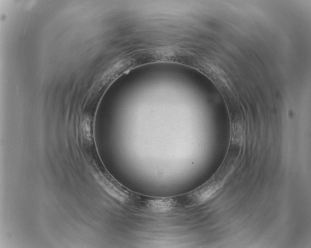 X0000089700238200706211326