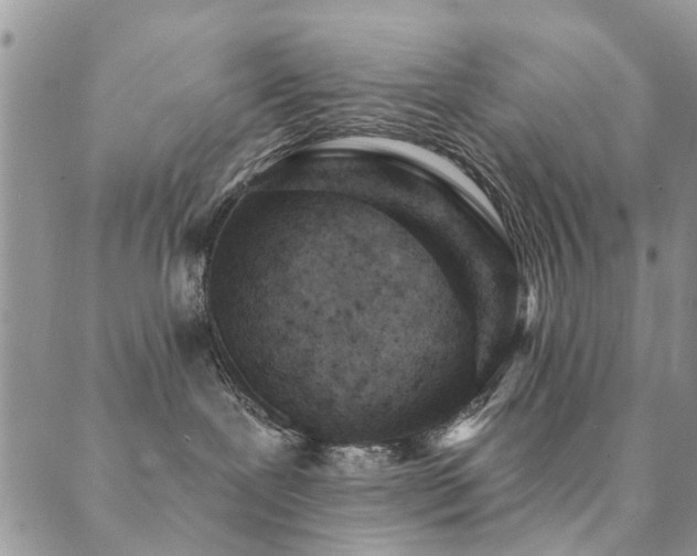 X0000089700239200706211326