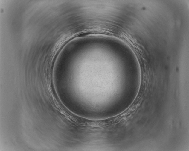 X0000089700241200706211325