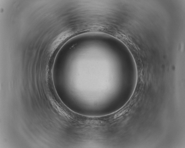 X0000089700242200706211325