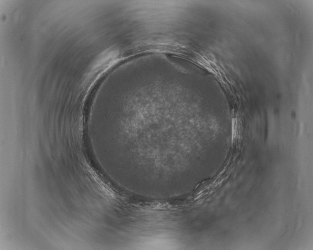 X0000089700243200706211325