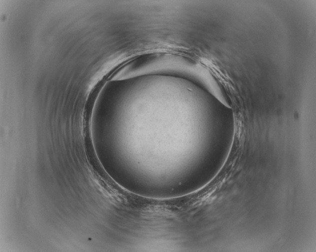 X0000089700244200706211325