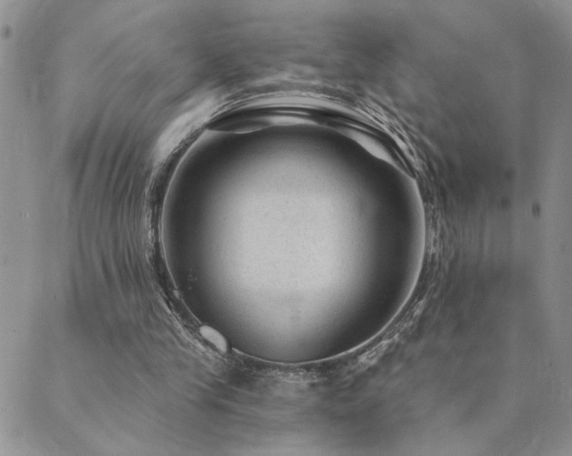 X0000089700245200706211325