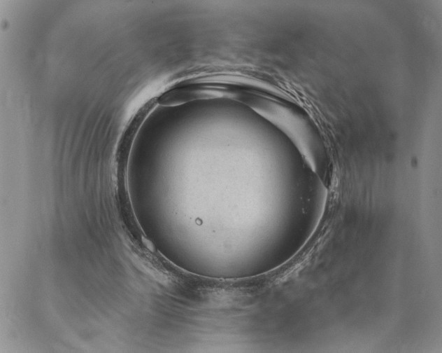 X0000089700246200706211325