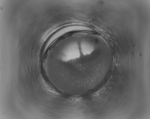 X0000089700247200706211325