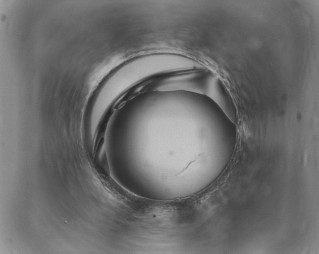 X0000089700248200706211325